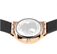 Orologio Bering Donna in Acciaio 5710718398812 - 5710718398812